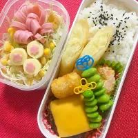 Snapdishの料理写真:#娘弁当 #ハンバーグ#チェダーチーズのせ|たらこ姫さん