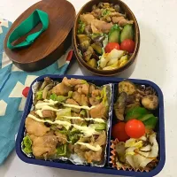 Snapdishの料理写真:火曜日お弁当〜🌸|しーたけさん