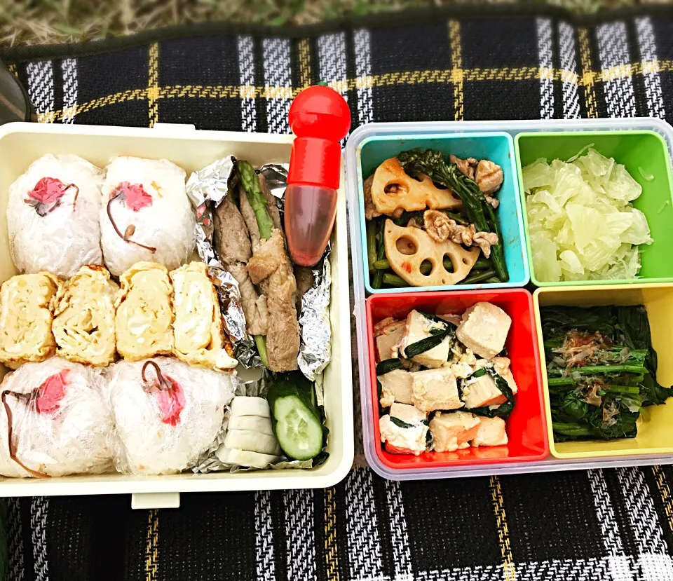 Snapdishの料理写真:桜おにぎりでお花見弁当🍱|noeさん