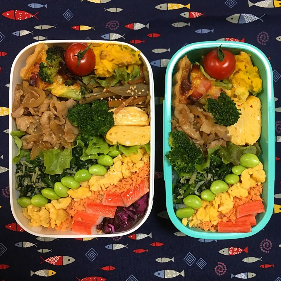 親子弁当
雨上がりの虹色弁当🌈
キッシュと焼肉風豚肉炒め|かずみさん