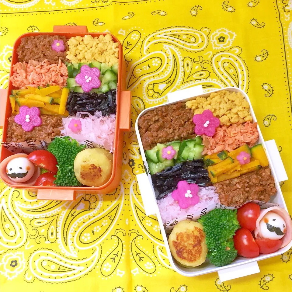 Snapdishの料理写真:カラフルそぼろのっけ弁当|ケイさん