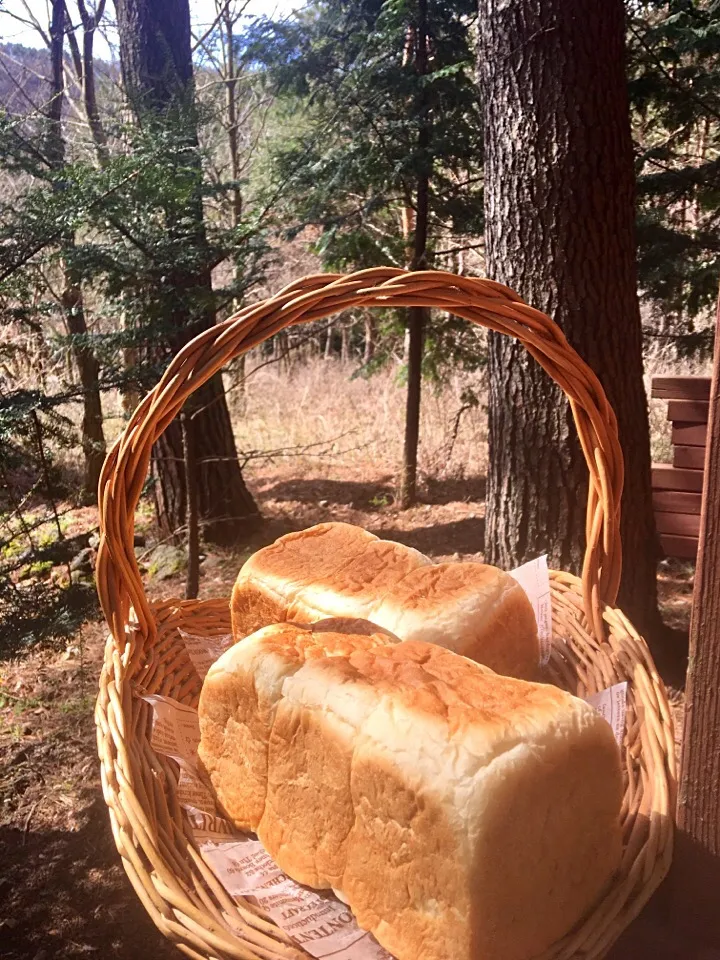 プルマンブレッド🍞|きゅうちゃんさん