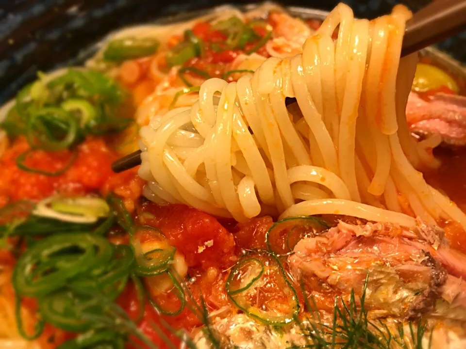 オイルサーディンのトマトソースそうめん6|半田手延べそうめんの店 阿波や壱兆さん