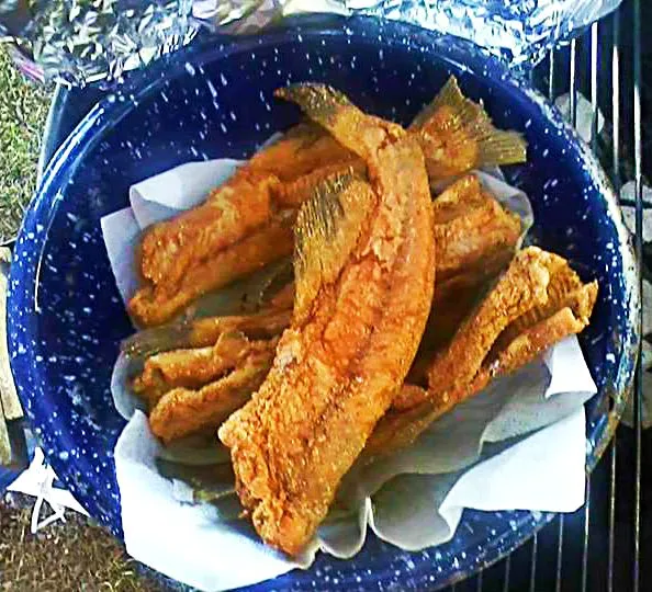 Snapdishの料理写真:Fresh Fried Catfish from Sunday Supper #Seafood #Fish #Party #Main dish|Alisha GodsglamGirl Matthewsさん