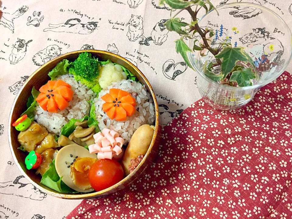 お赤飯でお祝い弁当|みなみさん