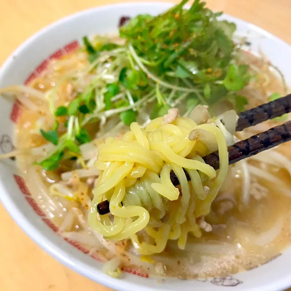 Snapdishの料理写真:味噌ラーメン #ミンチ #もやし|たまこっこさん