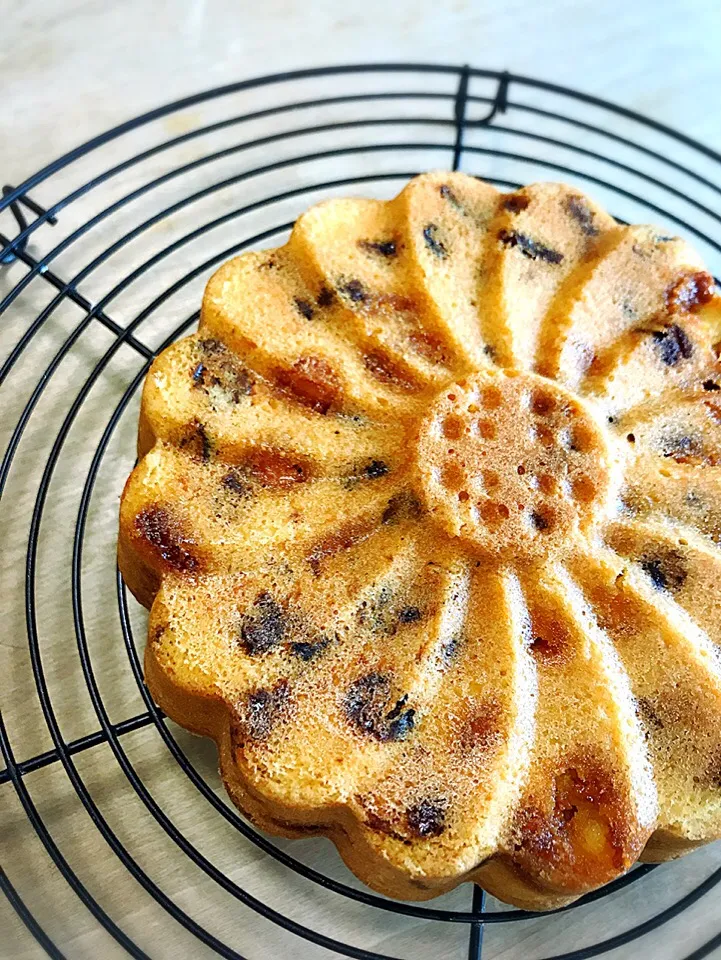 Snapdishの料理写真:マルグリット型で🌼クランベリーとホワイトチョコの焼菓子|シホさん