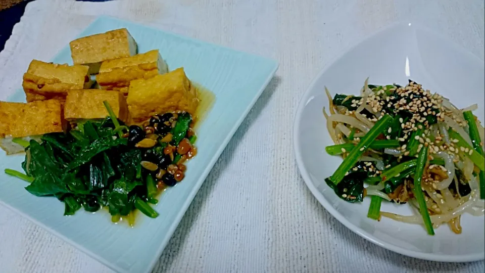 晩御飯🍴厚揚げとほうれん草の煮物、モヤシとほうれん草ナムルです。|lagk1jazzさん