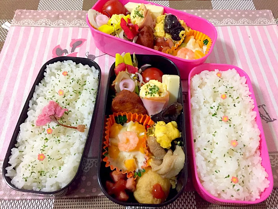 Snapdishの料理写真:🌸愛息子&愛娘🌸お弁当|Kii mamaさん