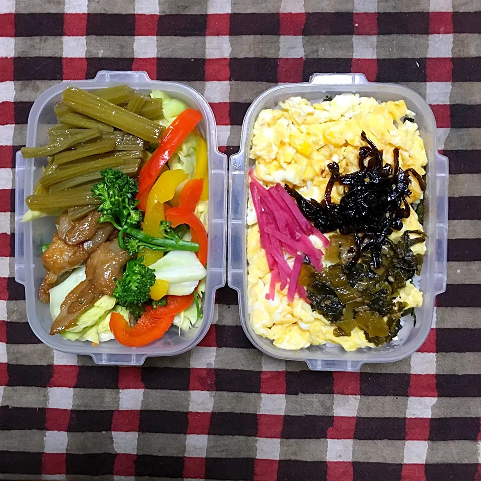 今日のお弁当‼︎
#お弁当 #弁当 #lunch #lunchbox #丼弁当 #昼ごはん #お昼ごはん|Yoshinobu Nakagawaさん