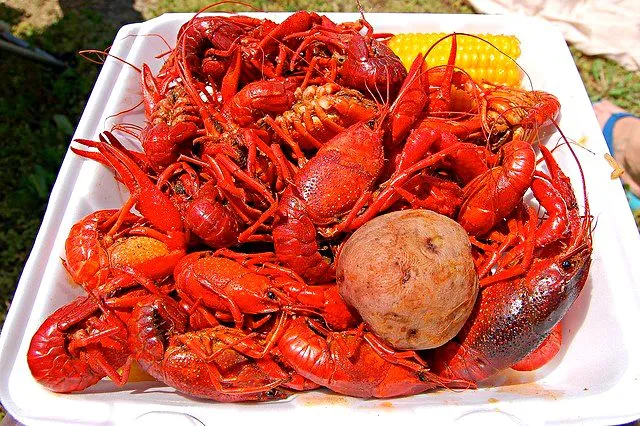 My 4th Plate of Hot Crawfish at Annual CRAWFISH Boil #Seafood #Holidays/Celebrations #Party|Alisha GodsglamGirl Matthewsさん