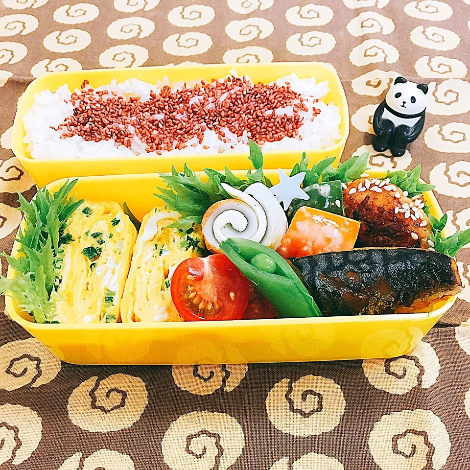 鶏つくねと鯖焼き弁当 #お弁当 #お弁当フォト|momo31omomさん