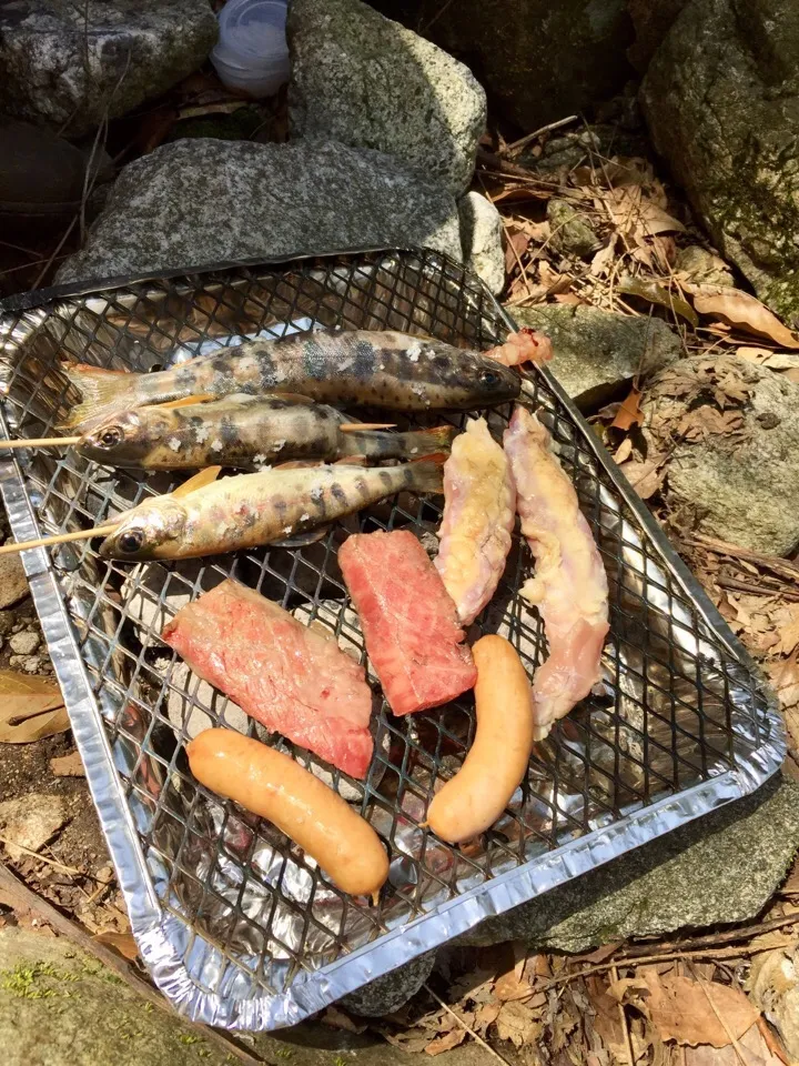 渓流で山女魚を釣って塩焼き〜バリ美味💕|シロンさん