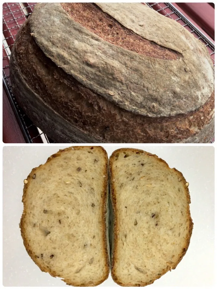 whole wheat sourdough bread with black rice and soybean|gonbenさん