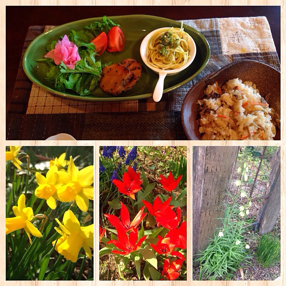 ４月１６日
花盛りのガーデンカフェでランチ
🌸  🌸  🌸
・ふきのとうパスタ
・わさび菜と甘酢大根のサラダ
・サツマイモとレンコン
・炊き込みごはん|Yu Yu mamaさん