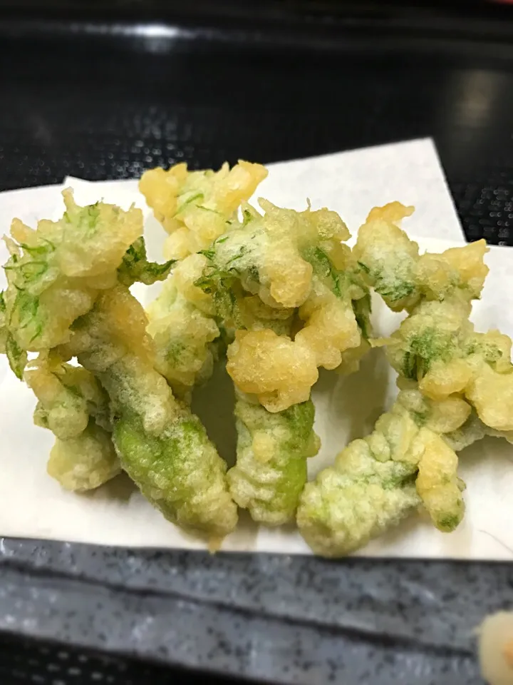 タラの芽天ぷら  432円|料理長さん