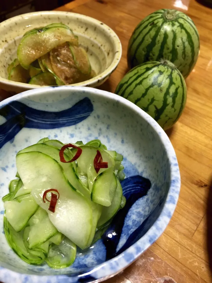 西瓜の摘果で酢物、胡麻和え🍺|keikoさん