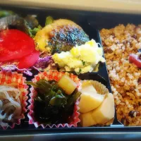 春の行楽お弁当。|RIEさん