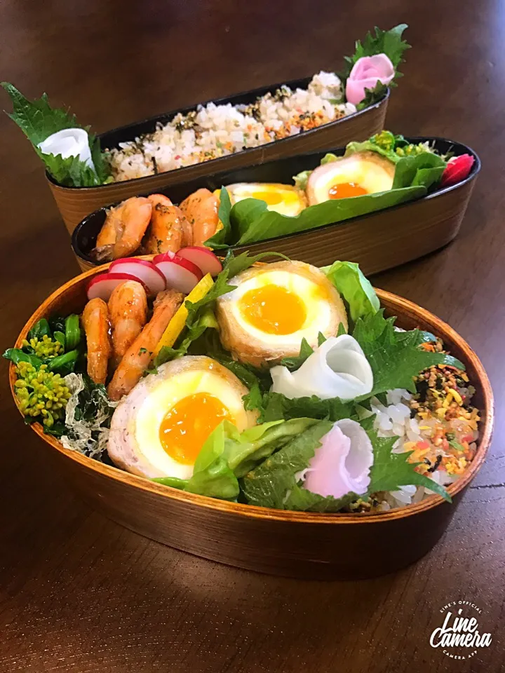 今日の2人のお弁当🍱♫ 肉巻き卵🥚とガーリックシュリンプ🦐|とんちんさん