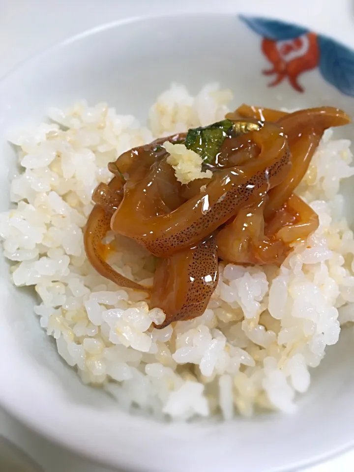 釣りヤリイカの沖漬ユッケご飯|Masakoさん