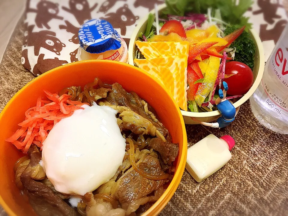 鶴形牛の牛丼&比内地鶏の温玉&野菜サラダのダーリンお弁当♪

#弁当 #フチ子 #すき焼きした後は作った割り下が多すぎていつも残るの…|桃実さん