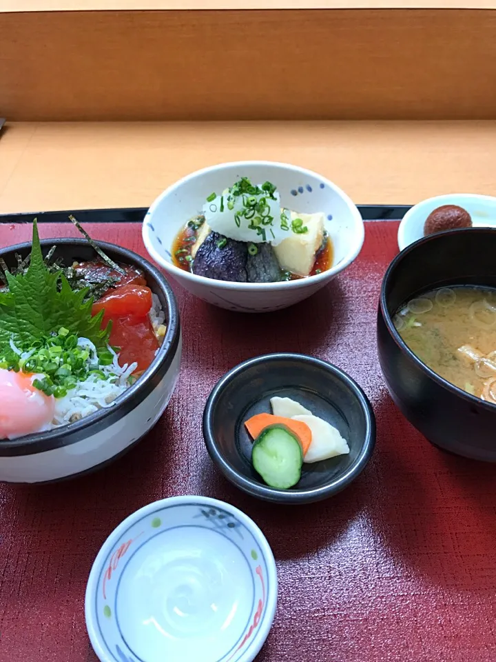 シラスまぐろ丼/茄子と豆腐揚げ出し/味噌汁|山内博之さん