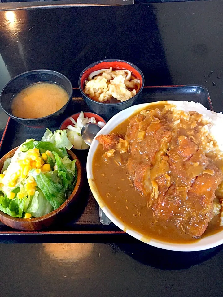 これでミニって…(´Д` ) 夜になってもお腹がパンパン…(´Д` ) ミニチキンカツカレーその① #古都|マツさん