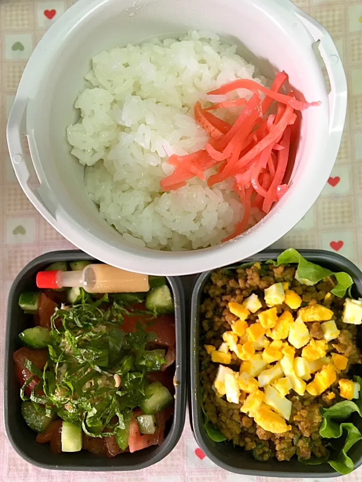 4月19日息子弁当
ドライカレー
トマトきゅうりのチョップドサラダにツナと玉ねぎマヨネーズ大葉|オリーブさん