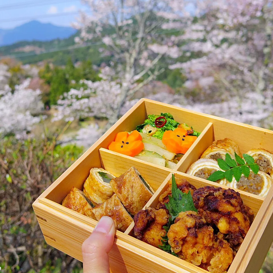 連投すいません！花見弁当🌸|@chieko_tanabe_さん