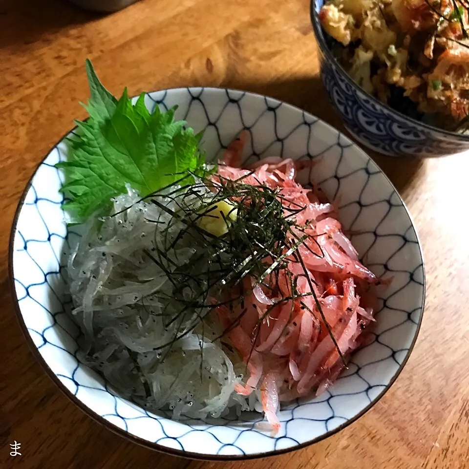 生しらすと生桜えび丼|まる(丸大豆)さん