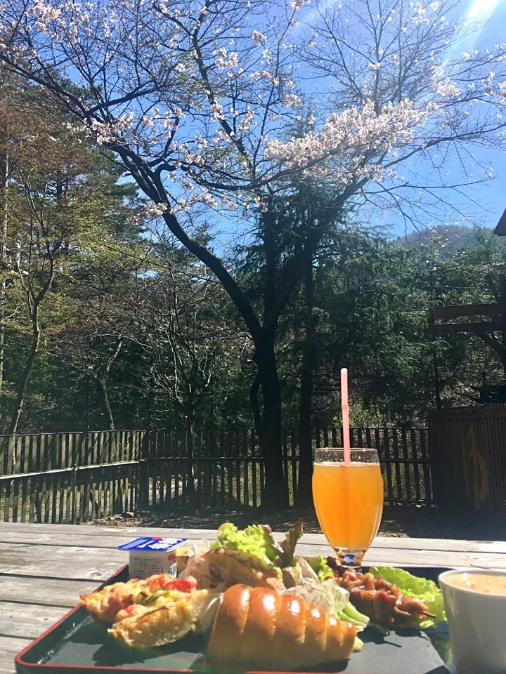 お庭でランチ🌸チャバッタでサンドイッチとピザトーストに🍕チョココルネもおまけ💓|きゅうちゃんさん