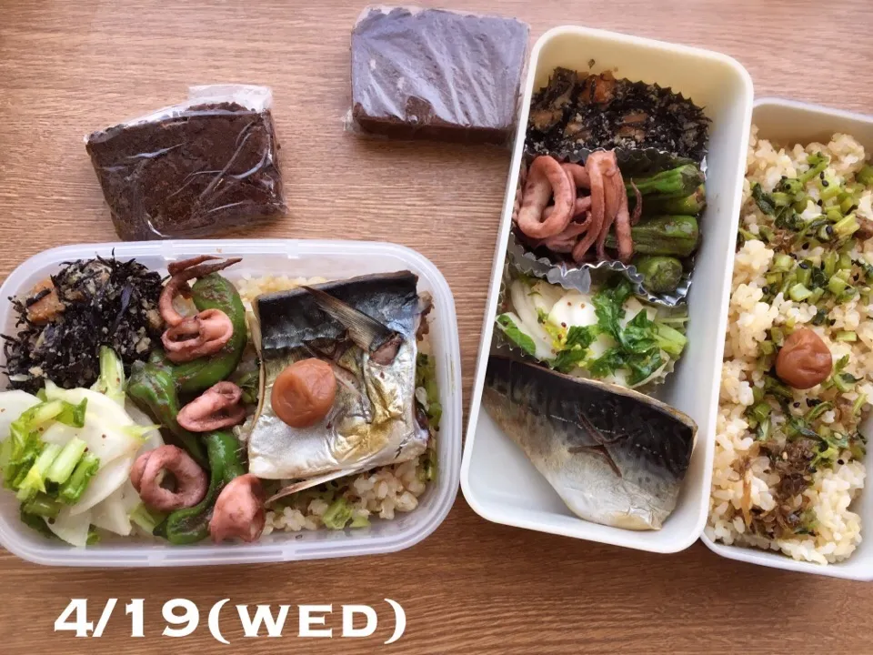 4/19 お弁当|もっちさん