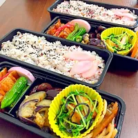 今朝のお弁当|さとみさん