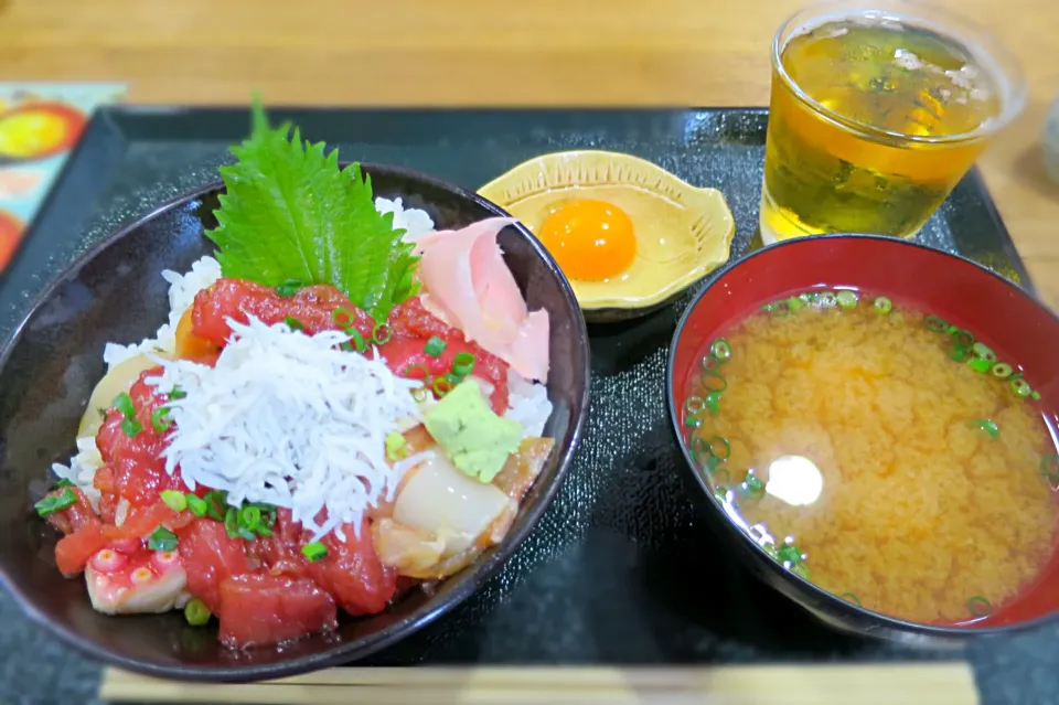 豪快！ふじやす丼@ふじやす食堂（藤沢）|Mickeeさん