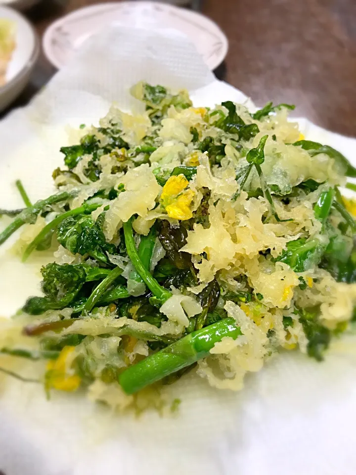 菜の花の天ぷら|23FKit23さん