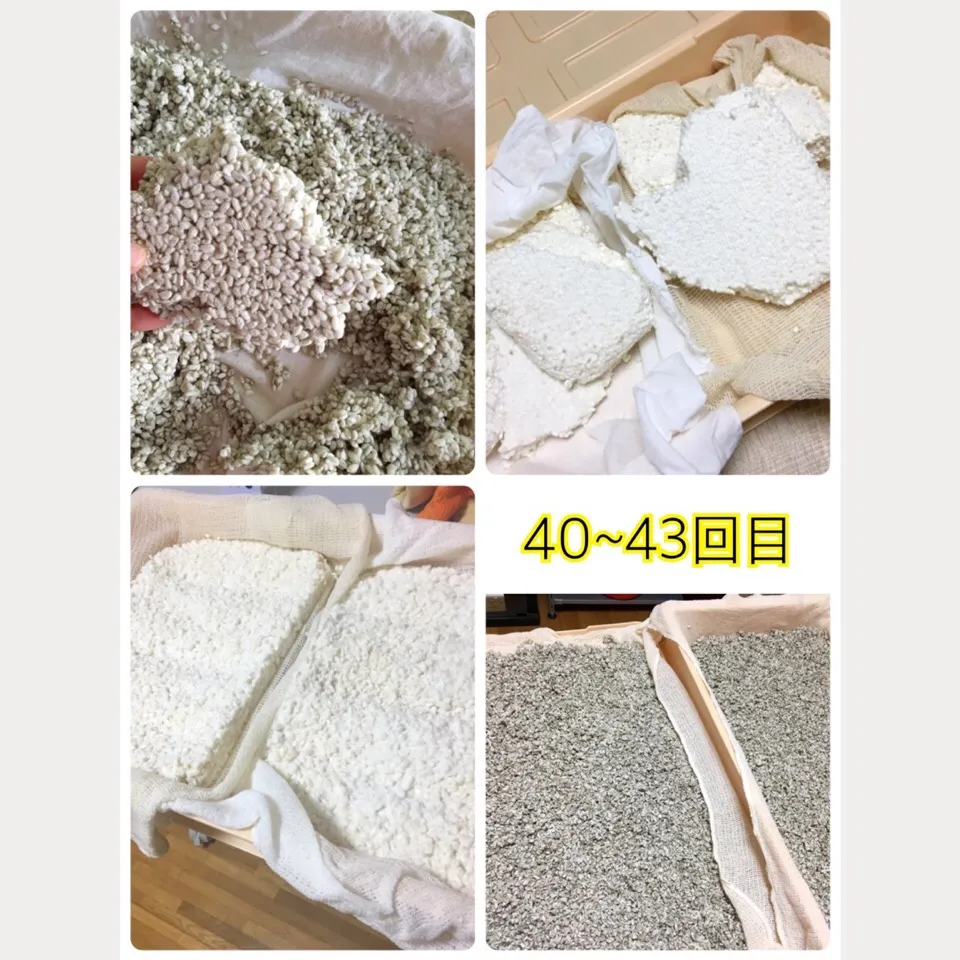 黒麹、米麹作り 40~43回目|まっちGさん