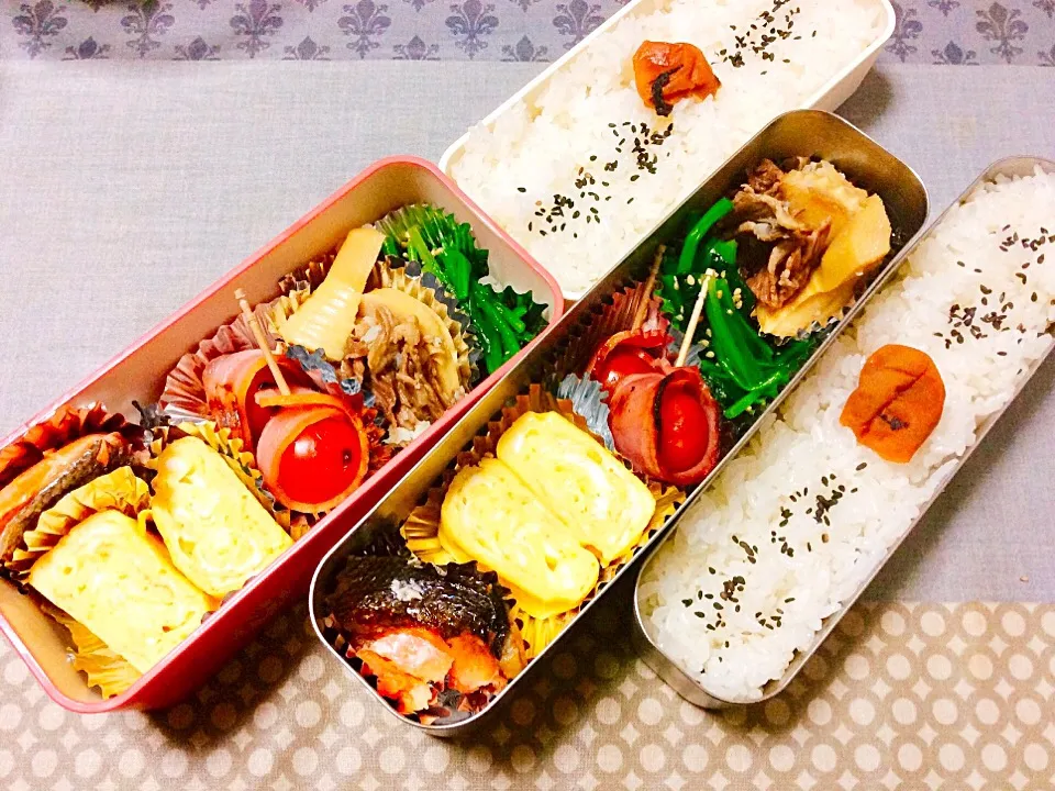 Snapdishの料理写真:昨日の父娘弁当🍱
#塩鮭
#出汁巻き卵 
#プチトマトのベーコン巻き 
#ほうれん草のナムル
#筍と牛肉の炊き合わせ 
#父娘弁当|madeleineさん