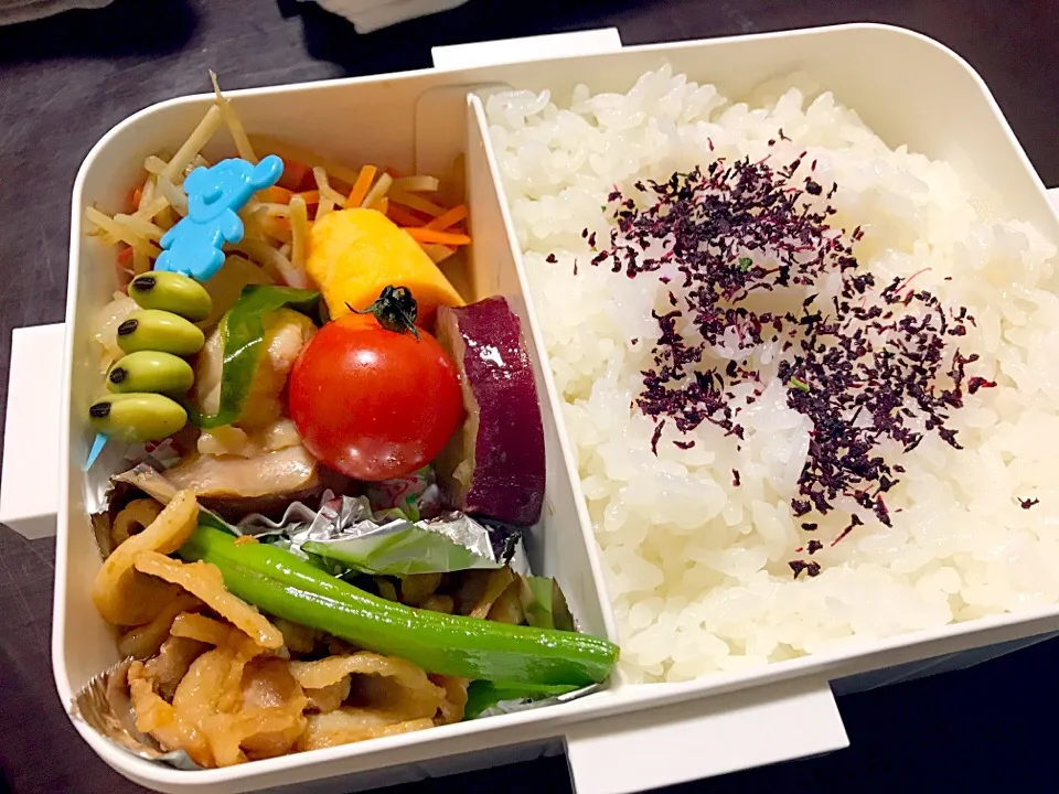 仕事弁当☺︎ 豚バラとモロッコインゲンの味噌炒め 卵焼き ミニトマト きんぴらごぼう 青大豆のおひたし さつまいものレモン煮|michamsさん