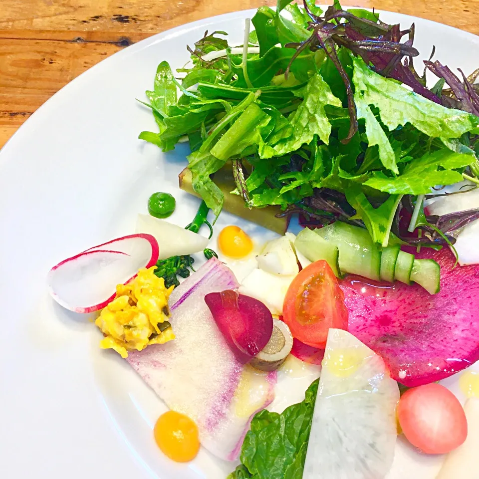 季節の野菜のカラフルサラダ🥗|わたげさん