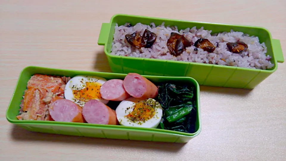 4月1９日　お弁当|いもこ。さん