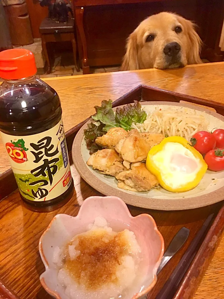 鶏肉の照り焼き🍖
もやしのナムル
パプリカ目玉焼き🍳

大根おろしにヤマサ昆布つゆを混ぜてコブおろしに🌟|きゅうちゃんさん