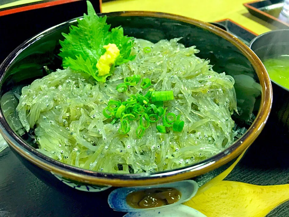 生しらす丼|もちもちさん