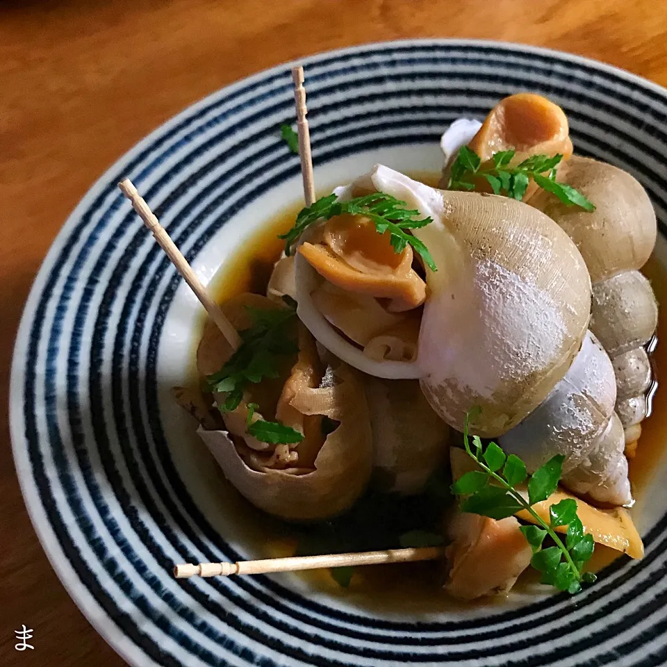 Snapdishの料理写真:山口県産 白バイ貝煮付け🐚|まる(丸大豆)さん