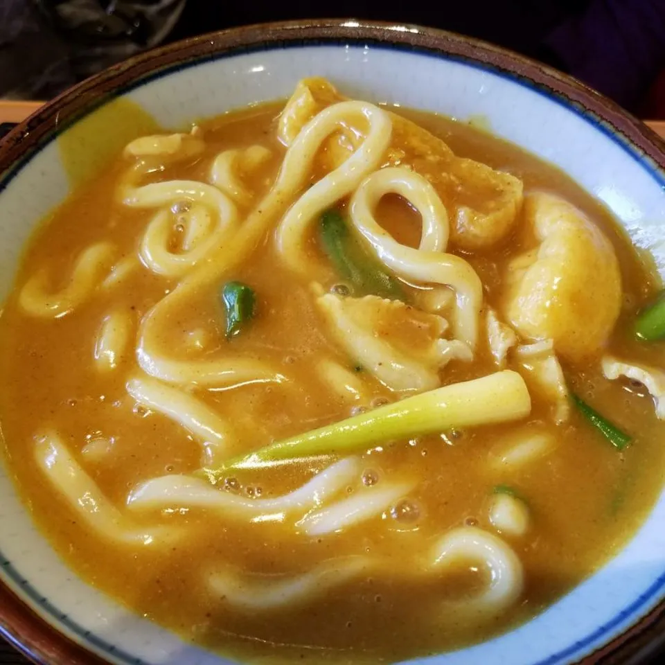 Snapdishの料理写真:博多うどんカレーうどん|Morito Kamiyaさん