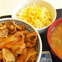 Snapdishの料理写真:豚丼豚汁サラダセット|am ordさん