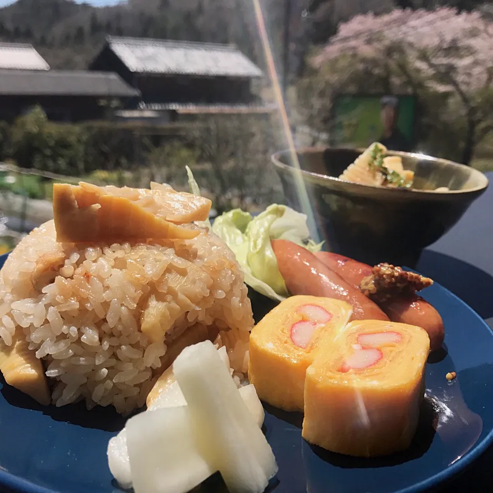 筍御飯のワンプレートをベランダに持ちだしてベランダランチ！ まだ、ギリ桜が咲いてますので今年最後の花見ランチ|koji toyodaさん