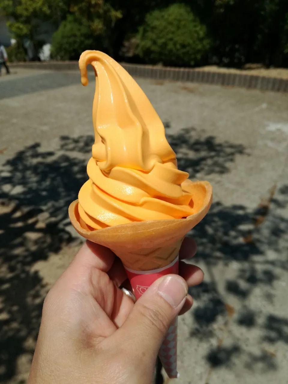 尾道観光協会オリジナル
瀬戸内みかんソフトクリーム🍦🍊|Kojiさん