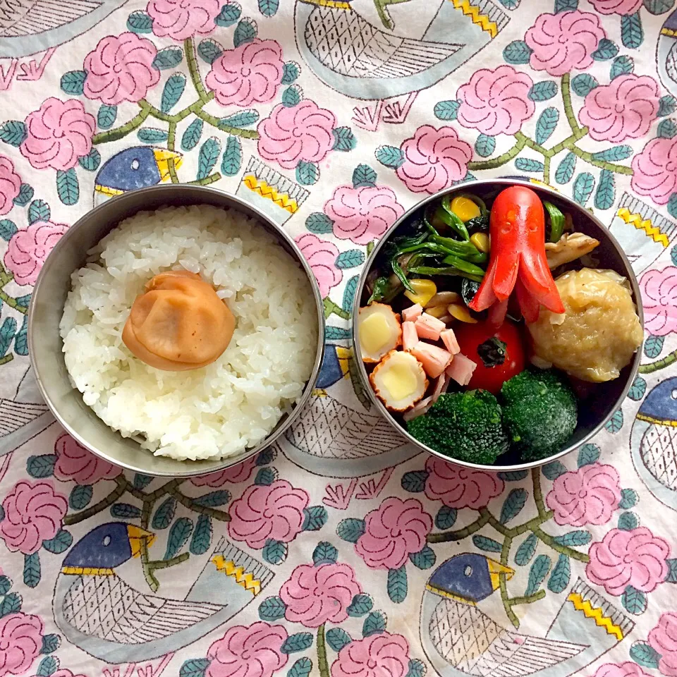 今日のお弁当|nasupiyukoさん