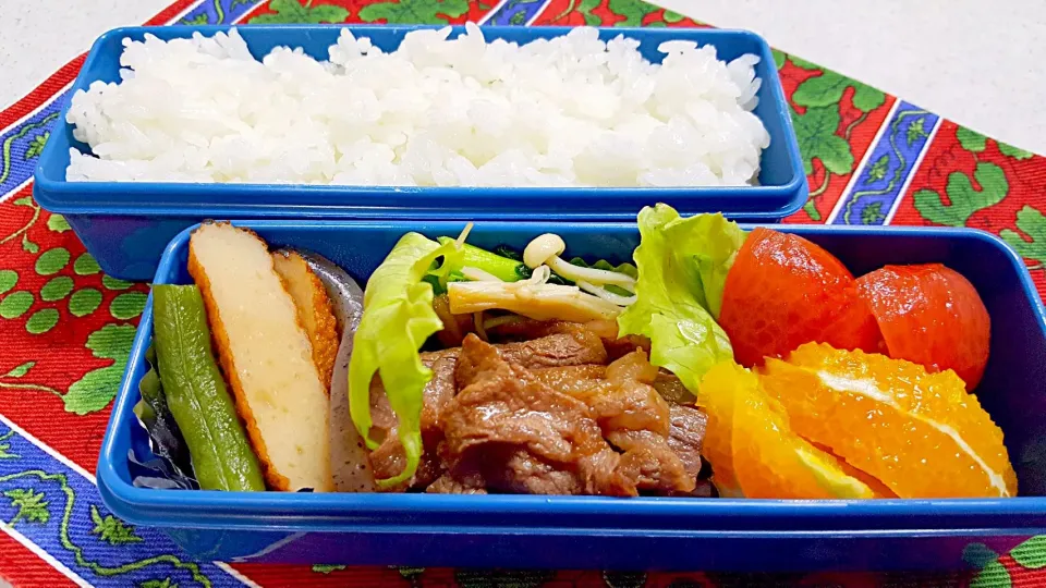 Snapdishの料理写真:お弁当|Koyukiさん