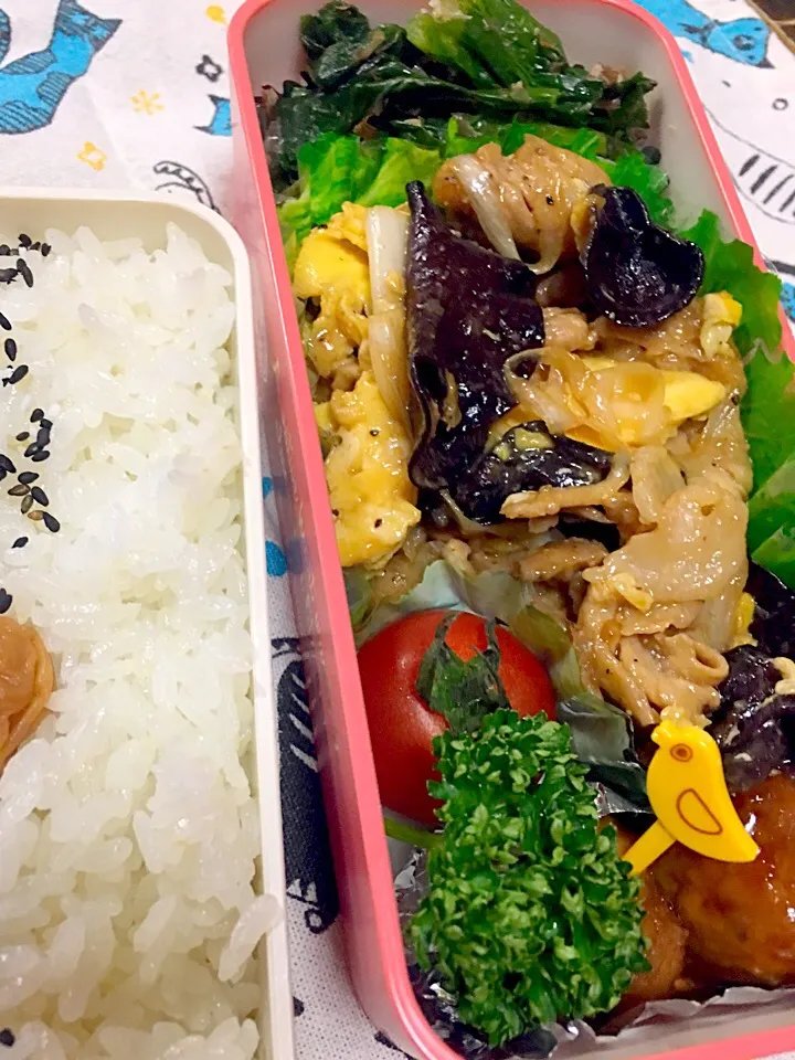 豚肉と卵のオイスターソース炒めのお弁当|かりんかさん